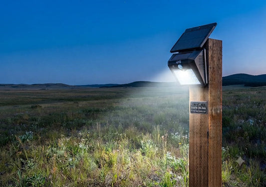 Unique solar-powered motion-sensor security light on a wooden post in an isolated, vast rural meadow at deep twilight.